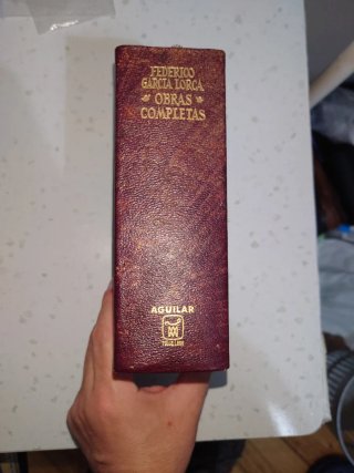 Obras Completas (volumen único)