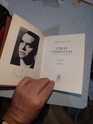 Obras Completas (volumen único)
