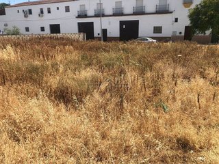Terreno en venta en Marchena