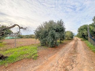 Casa rural en venta en Riudoms