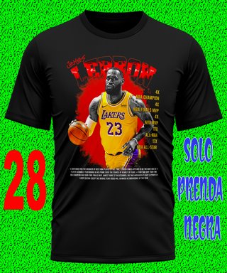 4 LEBRON JAMES CAMISETA BASKET BALONCESTO TEXTALLA