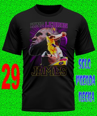 4 LEBRON JAMES CAMISETA BASKET BALONCESTO TEXTALLA