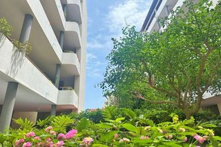 Piso en alquiler en Zona Botánico en Puerto de la Cruz