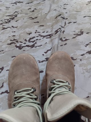 Botas militares desierto Gore-Tex Robusta 42