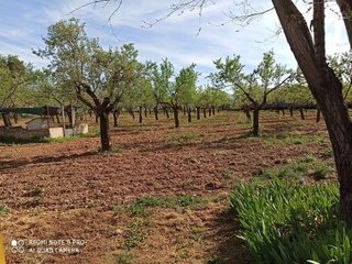Casa rural en venta en Miguelturra