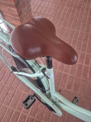 Bicicleta Bergsteiger Amsterdam Mint