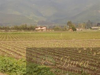 Terreno en venta en Rute