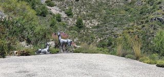 Terreno en venta en Pego