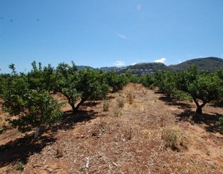 Terreno en venta en Pego