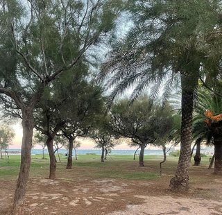 Garaje en venta en Antigua Moreria en Sagunto