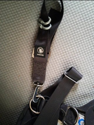 Arnés seguridad perro Talla M