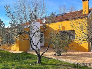 Casa rural en venta en Palma del Condado (La)