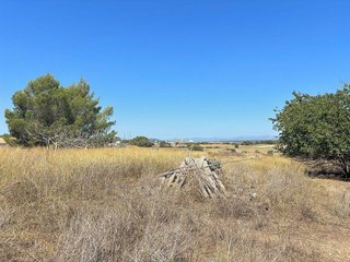 Chalet en venta en Manacor Centro en Manacor