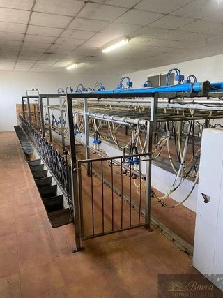 Nave industrial en venta en Rute