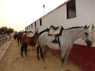 Terreno en venta en Sanlúcar la Mayor