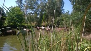 Terreno en venta en Sanlúcar la Mayor