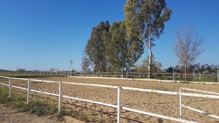 Terreno en venta en Sanlúcar la Mayor