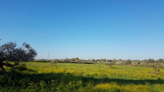Terreno en venta en Sanlúcar la Mayor