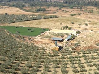 Terreno en venta en Sanlúcar la Mayor