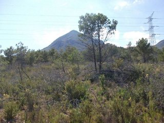 Terreno en venta en Nucia (la)