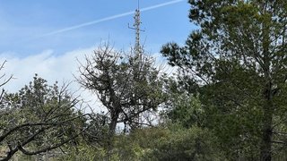 Solar en venta en Borriol