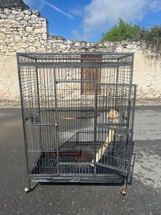 Jaula grande para loro