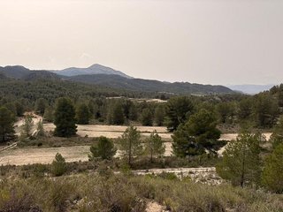 Terreno en venta en Petrer