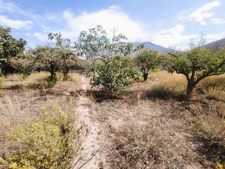 Cortijo en venta en Berja