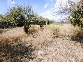 Cortijo en venta en Berja