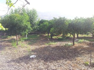 Cortijo en venta en Berja