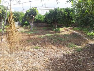Cortijo en venta en Berja