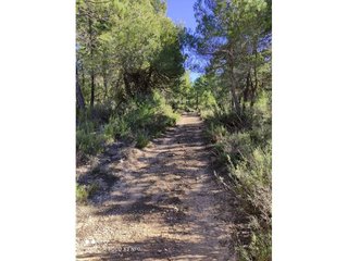 Casa rural en venta en Moratalla