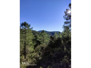 Casa rural en venta en Moratalla