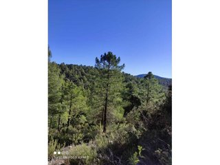 Casa rural en venta en Moratalla