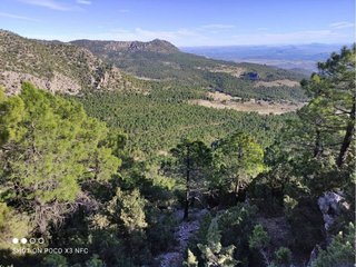 Casa rural en venta en Moratalla