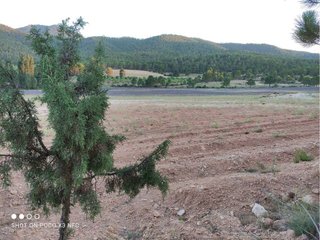 Casa rural en venta en Moratalla