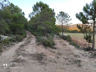 Casa rural en venta en Moratalla