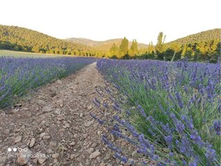 Casa rural en venta en Moratalla