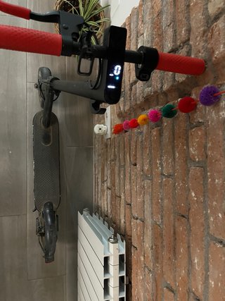Patinete Eléctrico Xiaomi 300W
