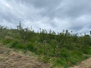 Terreno en venta en Igeldo en San Sebastián-Donostia