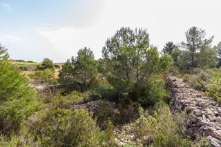 Terreno en venta en Monserrat