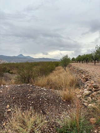 Terreno en venta en Abanilla