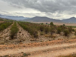 Terreno en venta en Abanilla