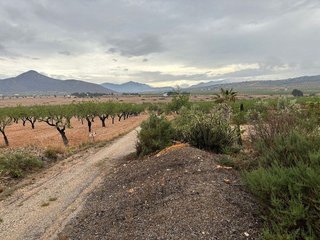 Terreno en venta en Abanilla