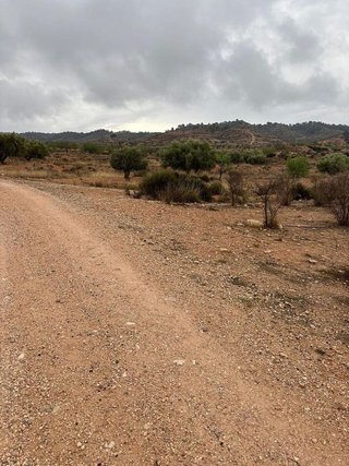 Terreno en venta en Abanilla