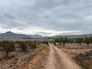 Terreno en venta en Abanilla