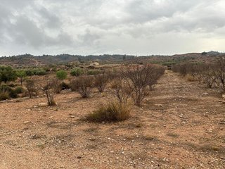 Terreno en venta en Abanilla