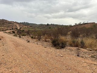 Terreno en venta en Abanilla