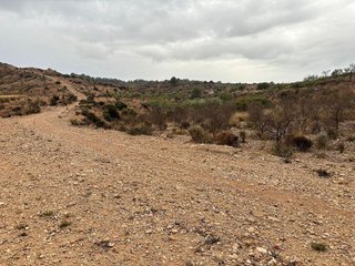 Terreno en venta en Abanilla