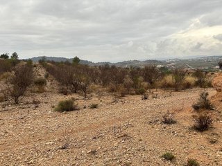 Terreno en venta en Abanilla
